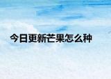 今日更新芒果怎么种