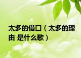 太多的借口（太多的理由 是什么歌）