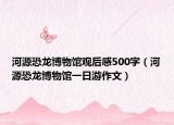 河源恐龙博物馆观后感500字（河源恐龙博物馆一日游作文）