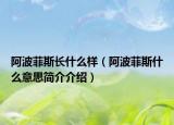 阿波菲斯长什么样（阿波菲斯什么意思简介介绍）