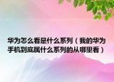 华为怎么看是什么系列（我的华为手机到底属什么系列的从哪里看）
