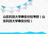 山东科技大学泰安分校考研（山东科技大学泰安分校）