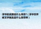 浮华的美丽是什么意思?（浮华世界唯文字独美是什么意思啊）