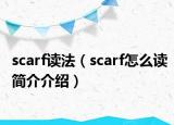 scarf读法（scarf怎么读简介介绍）