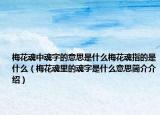 梅花魂中魂字的意思是什么梅花魂指的是什么（梅花魂里的魂字是什么意思简介介绍）