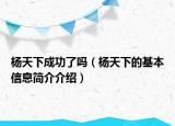 杨天下成功了吗（杨天下的基本信息简介介绍）