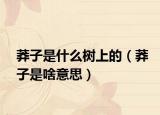 莽子是什么树上的（莽子是啥意思）