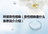 所谓异性相吸（异性相吸是什么意思简介介绍）
