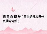 胡 黄 白 柳 灰（黄白胡柳灰是什么简介介绍）