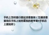 手机上怎样查行驶证违章查询（交通违章查询在手机上如何查我的是苹果4手机在上面如何）