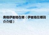 奥格伊崔格在哪（伊崔格在哪简介介绍）