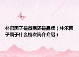 朴尔因子是微商还是品牌（朴尔因子属于什么档次简介介绍）