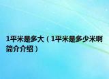 1平米是多大（1平米是多少米啊简介介绍）