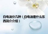 白电油分几种（白电油是什么东西简介介绍）