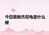 今日更新杰尼龟是什么梗