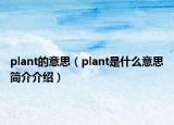 plant的意思（plant是什么意思简介介绍）