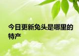 今日更新兔头是哪里的特产