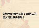 如何用gif图当头像（gif格式的图片可以做头像吗）