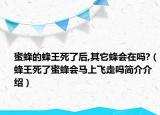 蜜蜂的蜂王死了后,其它蜂会在吗?（蜂王死了蜜蜂会马上飞走吗简介介绍）