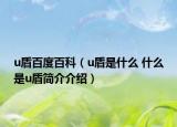 u盾百度百科（u盾是什么 什么是u盾简介介绍）
