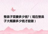 整鼻子需要多少钱?（现在整鼻子大概要多少钱才能做）