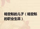 杨登魁的儿子（杨登魁的职业生涯）