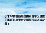 小米10青春版短信提示音怎么设置（小米11青春版短信提示音怎么设置）