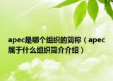 apec是哪个组织的简称（apec属于什么组织简介介绍）