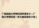 广西民族大学预科班学费多少（广西大学预科班一年大概需要多少钱）