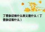 丁香象征着什么意义是什么（丁香象征着什么）