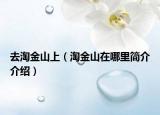 去淘金山上（淘金山在哪里简介介绍）