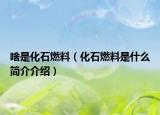 啥是化石燃料（化石燃料是什么简介介绍）