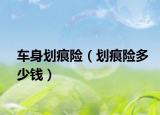 车身划痕险（划痕险多少钱）