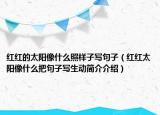 红红的太阳像什么照样子写句子（红红太阳像什么把句子写生动简介介绍）
