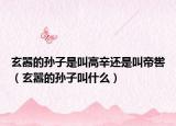 玄嚣的孙子是叫高辛还是叫帝喾（玄嚣的孙子叫什么）