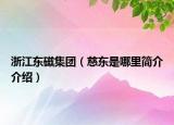 浙江东磁集团（慈东是哪里简介介绍）