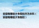 安徽有哪些大专院校升为本科（安徽有哪些大专院校）