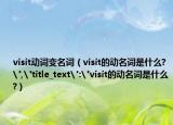 visit动词变名词（visit的动名词是什么?