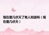 现在是几伏天了有人知道吗（现在是几伏天）