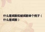 什么是减数和被减数举个例子（什么是减数）
