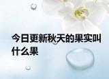 今日更新秋天的果实叫什么果
