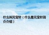 什么叫元宝针（什么是元宝针简介介绍）