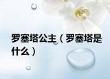 罗塞塔公主（罗塞塔是什么）