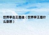 世界拳击王是谁（世界拳王是什么意思）