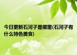 今日更新石河子是哪里(石河子有什么特色美食)