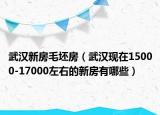 武汉新房毛坯房（武汉现在15000-17000左右的新房有哪些）
