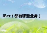 iBer（都有哪些业务）