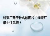 线束厂是干什么的图片（线束厂是干什么的）