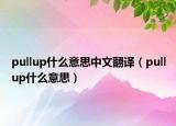 pullup什么意思中文翻译（pullup什么意思）