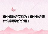 商业房地产又称为（商业地产是什么意思简介介绍）